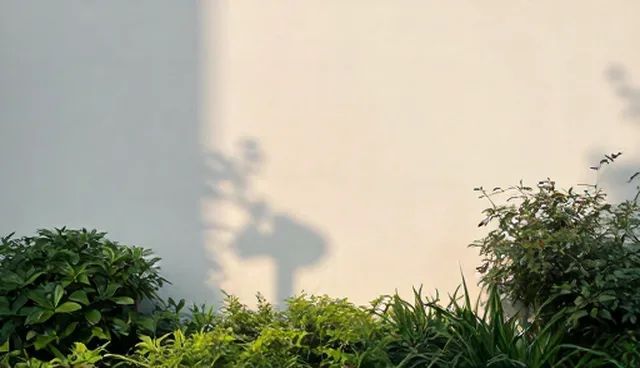 维护策略执行不力，如何提升业务效率