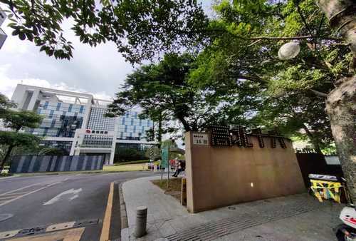 黄冈AI优化相关GEO实践与价值探析